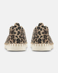 Instappers TULIP3275LEO | Latte Pearled Ivory | Shoes | Ilse Jacobsen