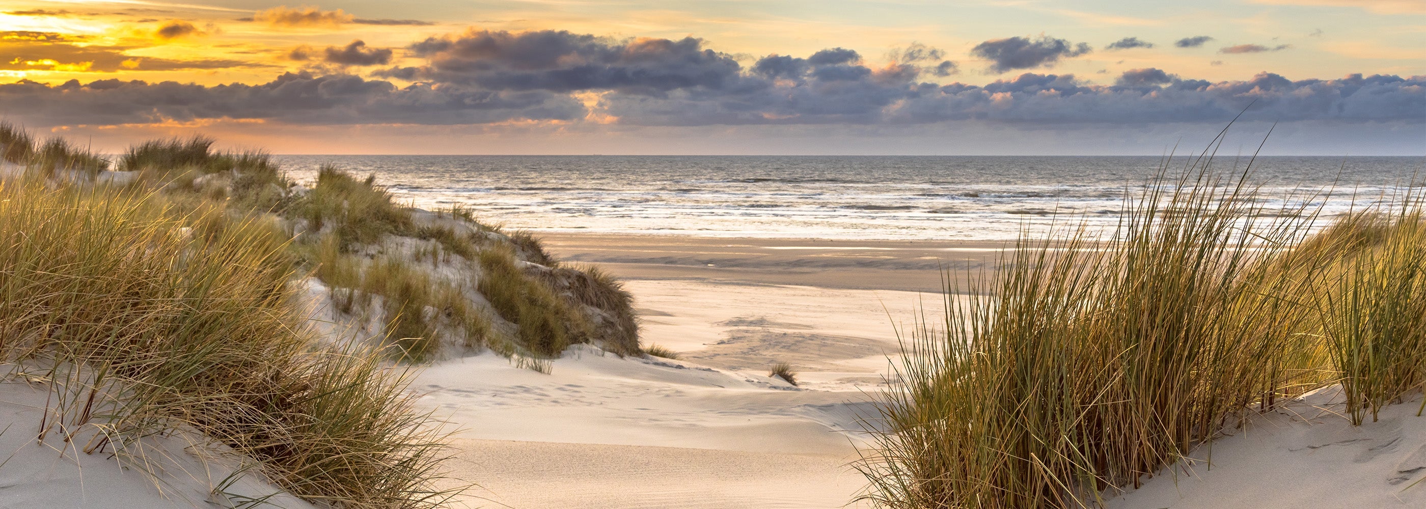 EARTH TONES - Ilse Jacobsen