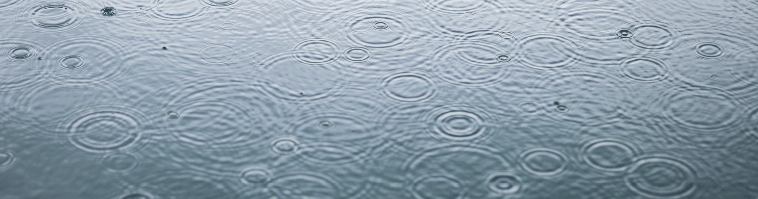 RAIN READY - Ilse Jacobsen