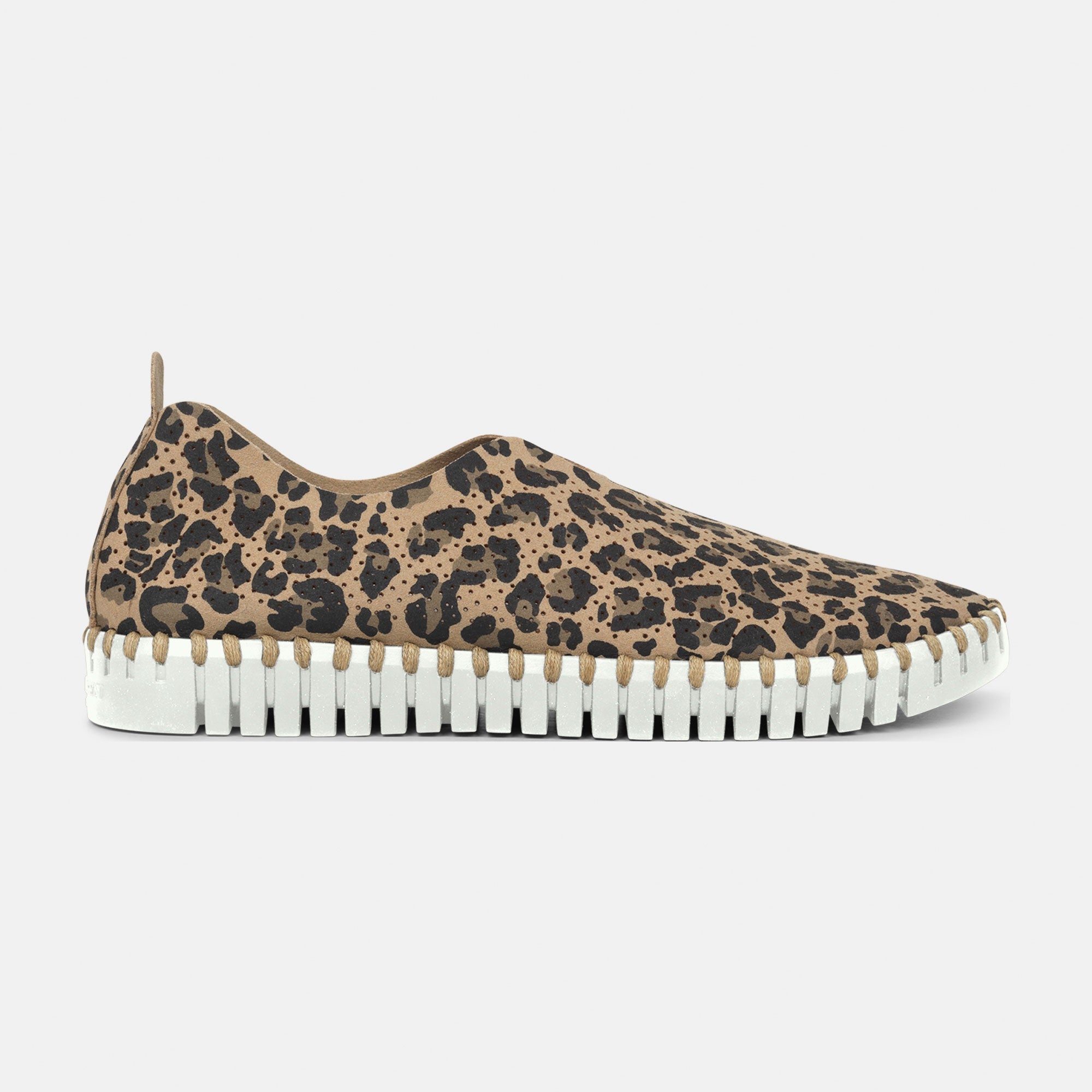Instappers TULIP139LEO - 110 Latte | Latte | Shoes | Ilse Jacobsen