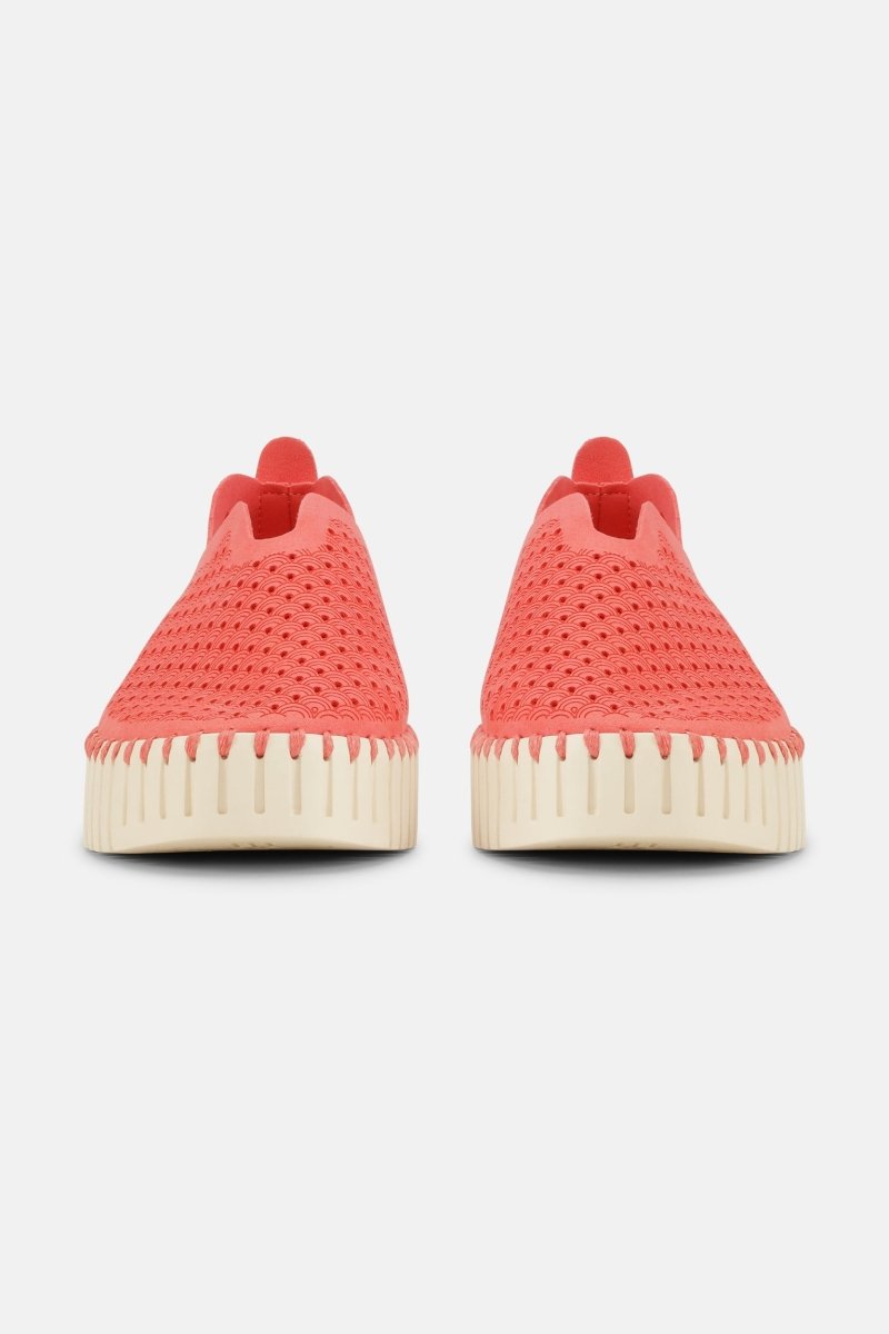 Instappers Platform TULIP3373 | Raspberry | Shoes | Ilse Jacobsen