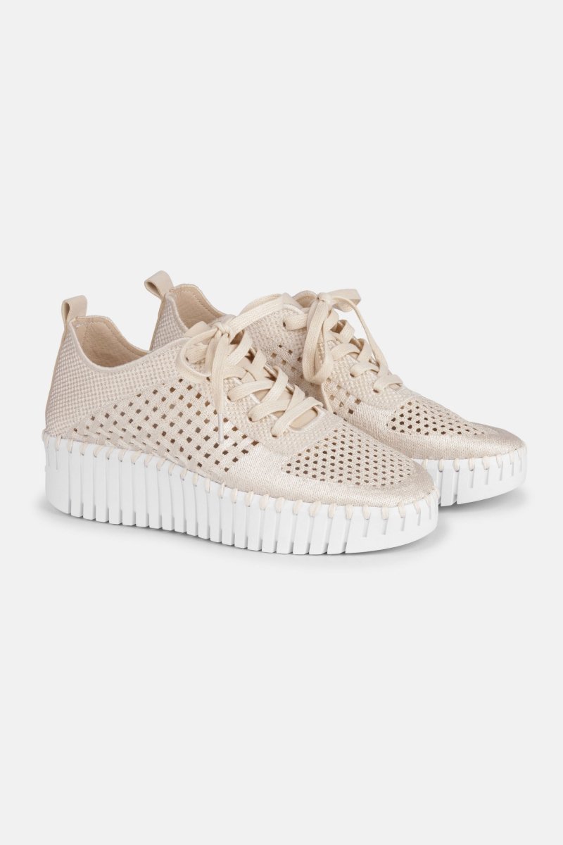 Sneakers TULIP4271 - 144100 Kit White | Ilse Jacobsen